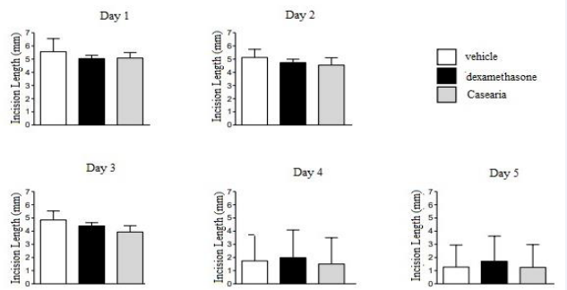 Macroscopic analysis of the influence of different treatments on the time course of healing.