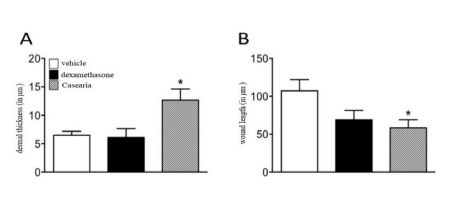 Influence of HCE-CS on microscopic parameters of skin reorganization. Results presented as a mean ± standard deviation of the mean  (n=8). One-way ANOVA, followed by Dunnet’s, P ? 0.05.