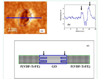 Figure 8 PFM image (a), one of dots-GO grain, (b-cross-section along blue line L and (c)-model of P (VDF-TrFE)-GO-P(VDF-TrFE). Arrows indicates the boundary areas.