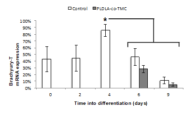 Figure 4: Transcription levels of Brachyury-T in corresponding differentiating cells were quantified using quantitative PCR analysis. Expression levels were first normalized to ?-actin, then normalized to the expression levels on day 0 of mESC (Control) and finally presented as a percentage of the highest transcriptional expression for Brachyury-T. Error bars represent the mean of 5 independent experiments ± SD of mRNA expression. *P< 0.05.