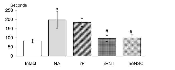 Figure 6: Effect of implantation of rat fibroblasts rF( ), rat embryonic tissue rENT ( ) and human olfactory neural stem cells hoNSC( ) on learning ability of rats with NA( ). On the y-axis – total time of searching nonaversive sleeve (s) in the conditions of altering its special location in the Y-shaped maze in daily trainings of animals from 5th to 8th weeks of life.  – group of intact rats.  Note: * - p < 0.05 as compared with the intact rats. # - p < 0.05 as compared with the NA and rF groups.