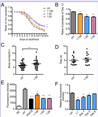 Figure 1. Lycium extracts protect against the A?-induced pathological  behaviors in C. elegans strain CL2006. (A) Paralysis was analyzed in worms  treated with Lycium at dilution ratios of 1:100, 1:50 and 1:20. (B) The rates of  paralysis on Day 13are displayed separately. (C) The number of body bends over 20 s  was counted. (D) Pumping rates of the worms were assessed. (E) The A? aggregation  was determined using a thioflavin T fluorescence assay (EGCG was used as a positive  control). (F) The different effects of Lycium on A? aggregation were measured at  different stages of worms (L1, Day 1, Day 3 and Day 6). Error bars represent means  ± SEMs (*P<0.05, **P<0.01, ***P<0.001).