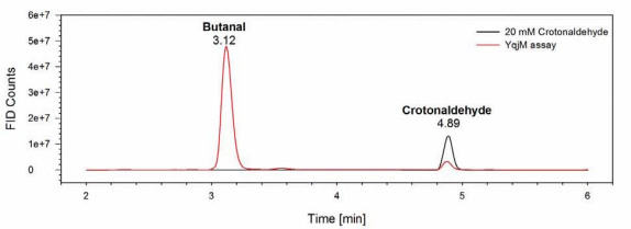  Conversion of crotonaldehyde to butanal with recombinant YqjM: GC measurements: YqjM assay with the crotonaldehyde substrate (in red) and 20  mM butanal as control (in black); the assay was conducted in 50 mM Hepes buffer (pH 7) with 20 mM crotonaldehyde, 20 mM NADH and 0.05 mM FAD+ at 40 °C. 