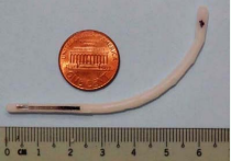 The magnetoelastic sensor embedded in a biliary stent model.