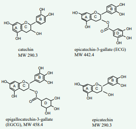  Chemical structure and molecular weight of catechin, ECG, EGCG, and  epicatechin.