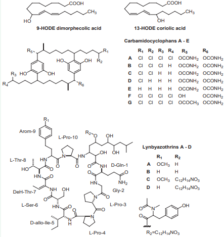 Antimicrobial active compounds from cyanobacteria