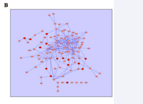 Mv-sub-network (for details see text) consisting of 110 genes that were modulated between ‘good’ and ‘bad’ tumors and that were involved in, and/or closely related to vascular development