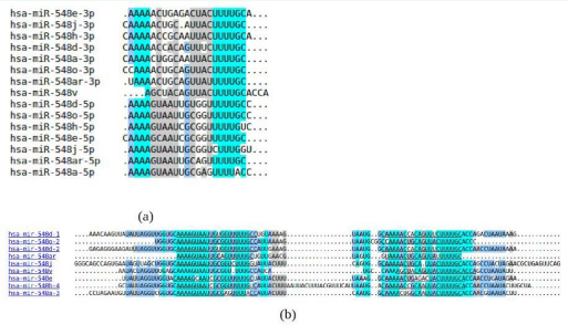 Alignments provided by miRBase for mir-548 family. Only sequences labeled as confident are given for miRNA (a) and pre-miRNA (b)