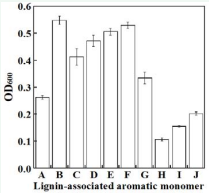  Growth of Pseudomonas sp. strain CCA1 on lignin-associated  aromatic monomers. Pseudomonas sp. strain CCA1 was grown in M9  medium containing 5 mM lignin-associated aromatic monomer as  the sole carbon and energy source. Experiments were performed in  triplicate; A, benzaldehyde; B, benzoic acid; C, catechol; D, 4-hydroxy  benzaldehyde; E, 4-hydroxy benzoic acid; F, 4-hydroxybenzyl alcohol;  G, phenol; H, vanillic acid; I, vanillin; J, vanillyl alcohol. Error bars  indicate SE.
