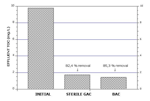 Adsorption of humic acids on granular activated carbon (GAC) filters.