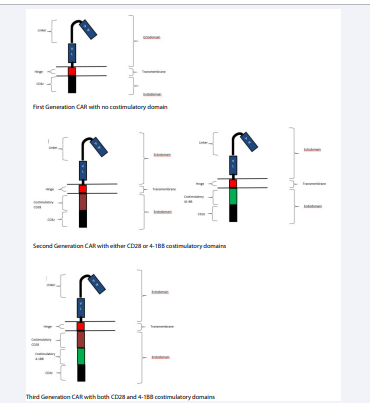 2 Schematic Depiction of Chimeric Antigen Receptor