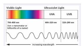 The UV/Visible light.