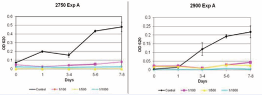 Inhibition of fibroblast with ceramide analogue 2750 (left) and 2900 (right). *OD= Optic Density.