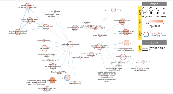 Figure 1 Upregulation/downregulation of enriched pathways (GO terms) when RES was challenged with a high cholesterol diet.