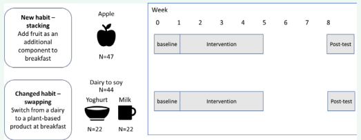 Schematic overview of the study design.
