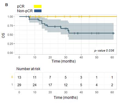 Figure 4: Kaplan-Meier curve for DFS and OS according to the type of pathological response (pCR vs. non-pCR). a) DFS b) OS. The yellow line symbolizes patients with pCR, while the blue line symbolizes patients with non-pCRP values obtained in the log-rank test.