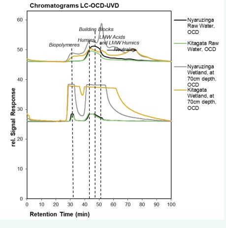 Figure 7: Chromatograms obtained from organic matter fractionation of Nyaruzinga and Kitagata wetland and raw water samples using the LC-OCD-UVD