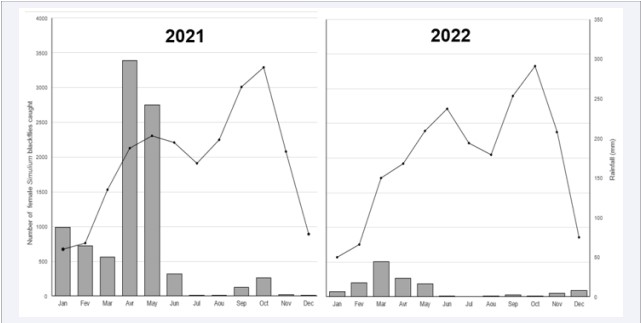 Figure 2: Monthly, relative abundances, of the Simulium blackfly, population before (2021) and during, (2022) implementation of the <<< Slash andClear vector control strategy in relation with rainfall in the Routh-Kelle community.