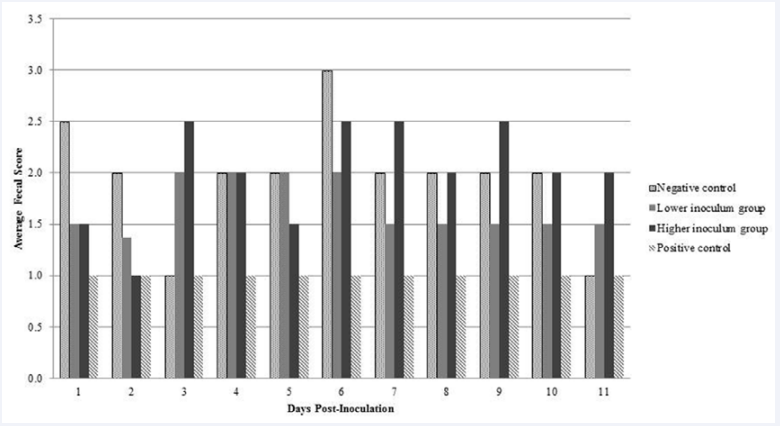 Average daily fecal scores for each inoculum group of experimental calves. Negative control: negative control calf; Lower inoculum group: average fecal scores from the calves inoculated with 108 CFU of the wildlife Escherichia coli O157:H7; Higher inoculum group: average fecal scores from the calves inoculated with 109 CFU of the wildlife Escherichia coli O157:H7; Positive control: positive control calf inoculated with 1010 CFU of the wildlife Escherichia coli O157:H7.