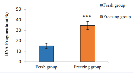 Comparison of sperm DNA Fragmentation in the Freezing and the Fresh group. The asterisk (?) indicates p <0.003.
