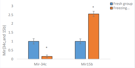 The evaluation of the miR-34c, and 15 b level expression in Freezing group compared with the Fresh group. p-value <0.01.