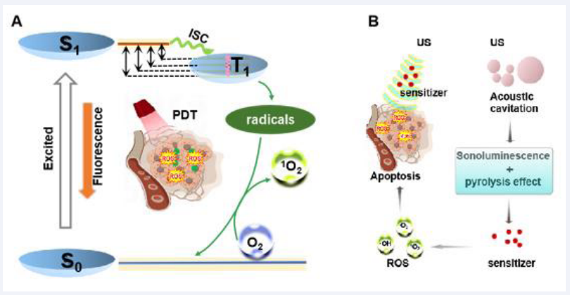 The possible mechanism of the PDT (A) and SDT (B).