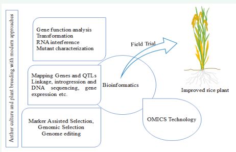 https://www.jscimedcentral.com/public/assets/images/uploads/image-1768197119-1.JPG